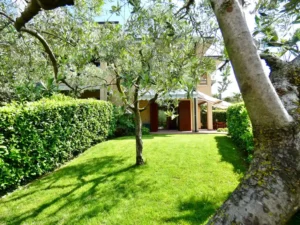 Green House Desenzano